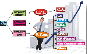 Courses after 12th commerce