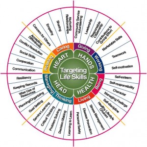 life skills model